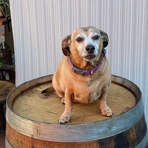 Meet your Posher, Bryan